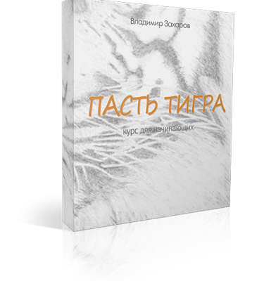«Пасть Тигра: форма и формулы»