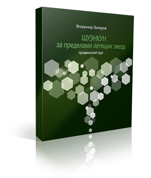 Шуэнкун за пределами летящих звезд 1 Шуэнкун за пределами летящих звезд