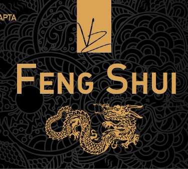 "VIP карта VZ Feng Shui - 2017"